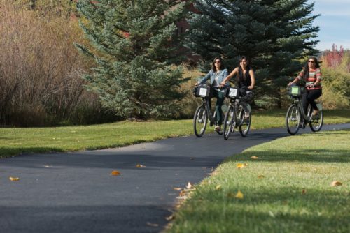 Basalt bicyclist nature