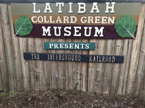 LATIBAH Collard Green museum