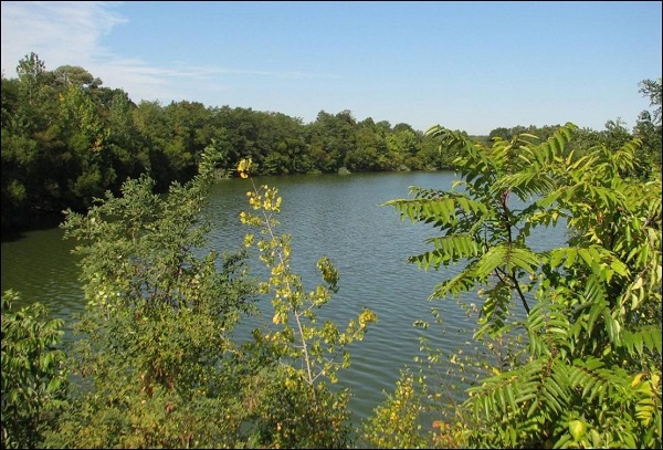 Audubon-discovery-center