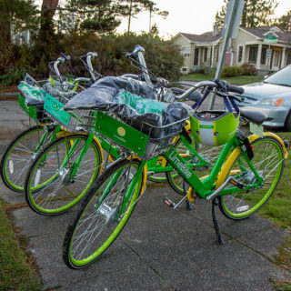 Seattle Lime bikes