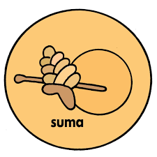 suma Platform