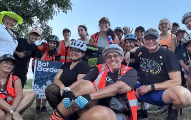 Bats Bring New Bike Share Riders in San Antonio